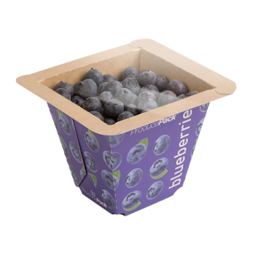 Punnet Blueberries