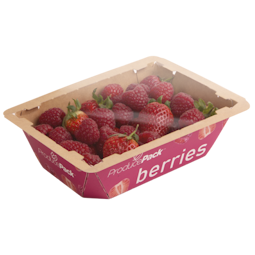 Punnet raspberries